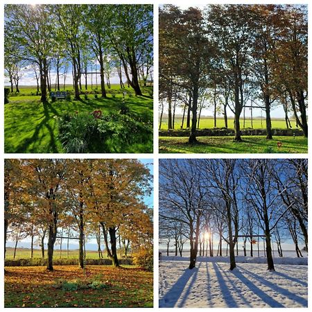 Ferienwohnung Sort Sol Grellsbuelldeich 7 Aventoft Екстер'єр фото