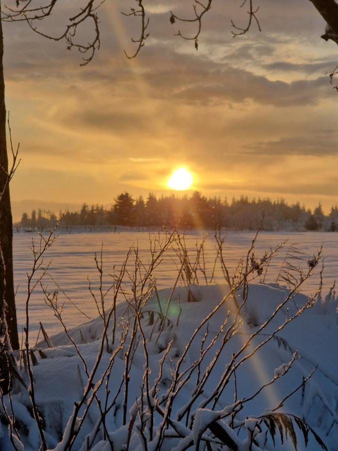 Ferienwohnung Sort Sol Grellsbuelldeich 7 Aventoft Екстер'єр фото