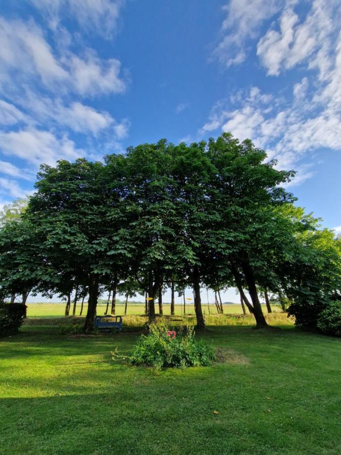 Ferienwohnung Sort Sol Grellsbuelldeich 7 Aventoft Екстер'єр фото