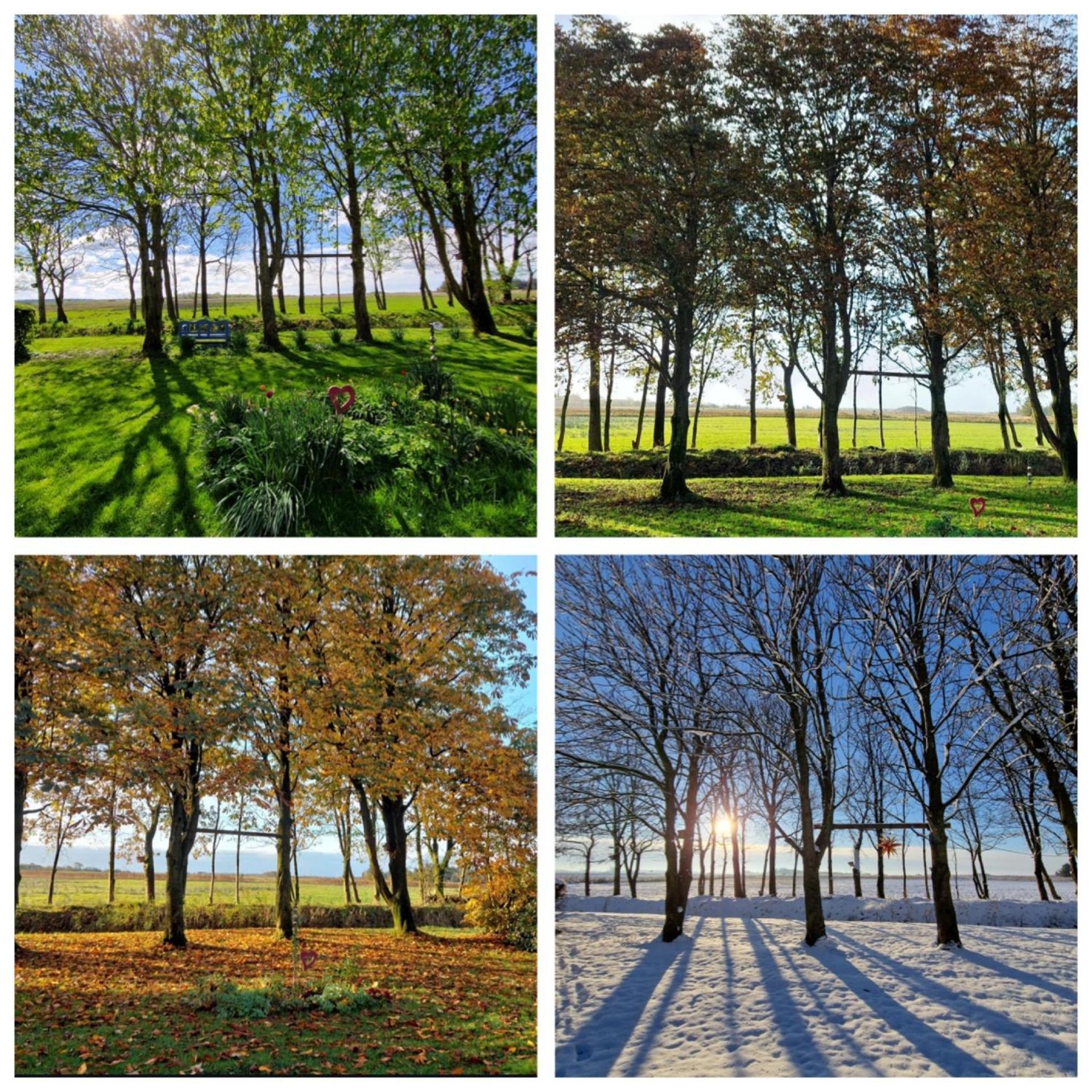 Ferienwohnung Sort Sol Grellsbuelldeich 7 Aventoft Екстер'єр фото